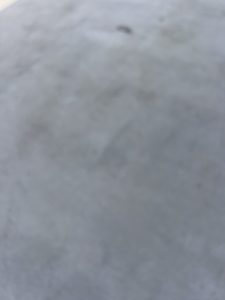 IMG_7412