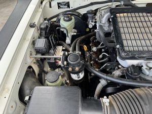 IMG_9524