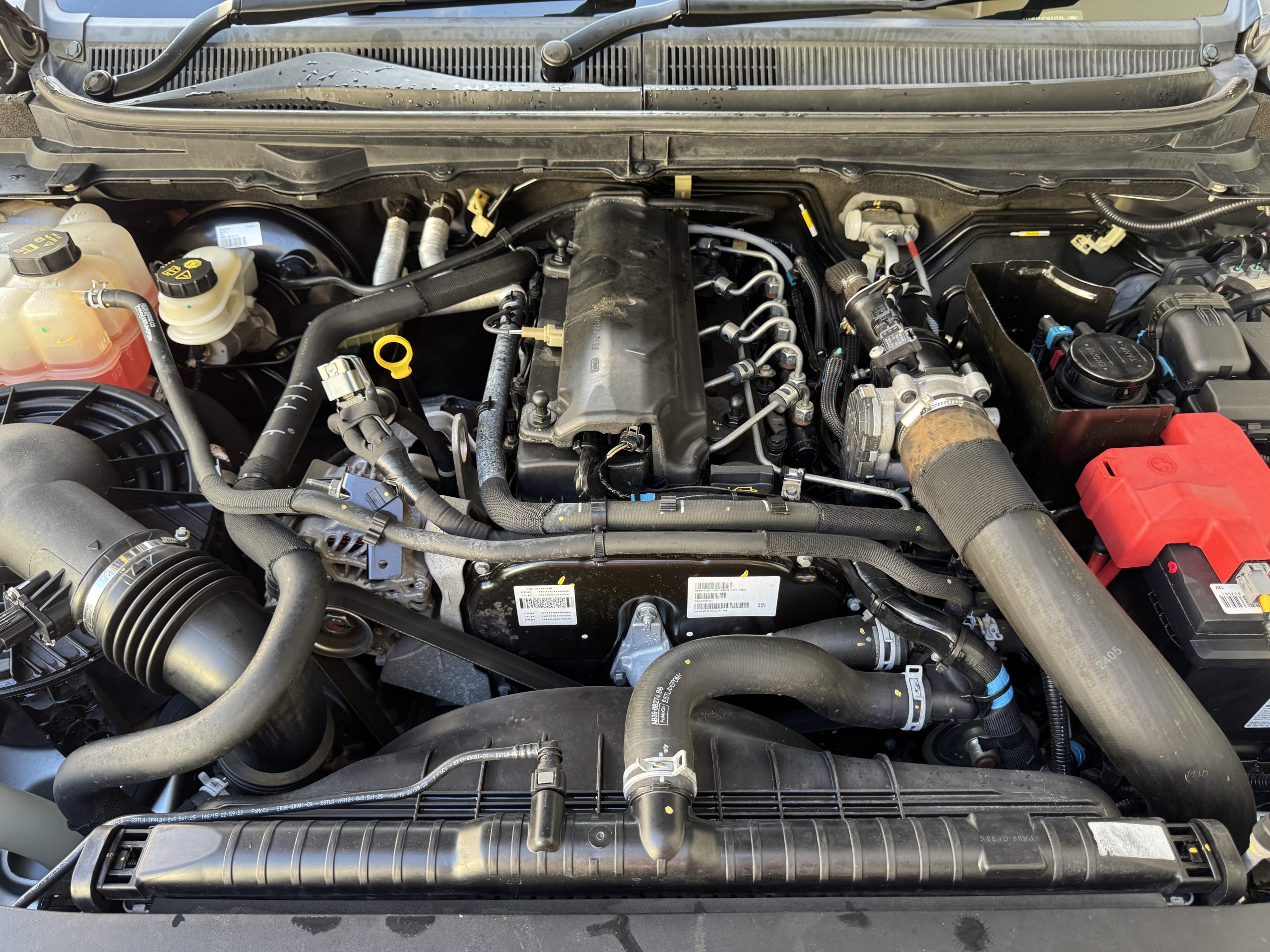 IMG_2382